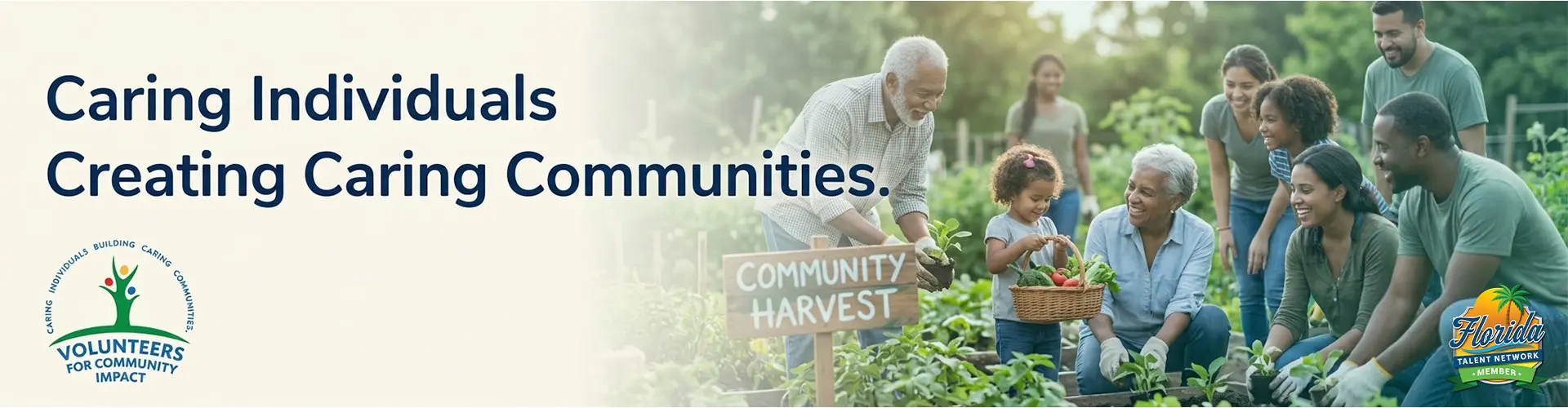 VOLUNTEERS FOR COMMUNITY IMPACT INCORPORATED cover